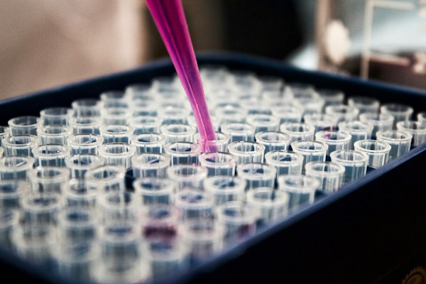 Pharmaceutical and chemical processing plant